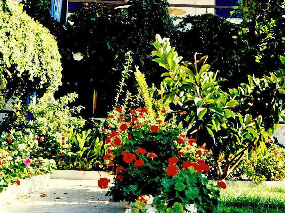 Greta Beach Anissaras Exterior foto